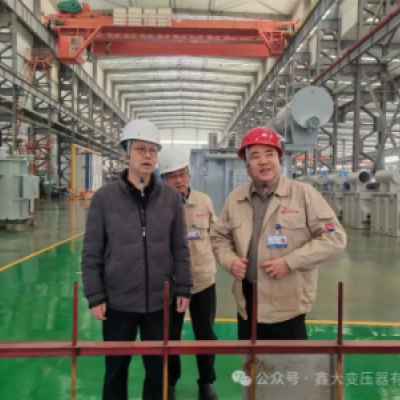 Шаньдун электрик инжиниринг нью энерджи групп посетил для проверки и гидана500 ква распределительный трансформатор