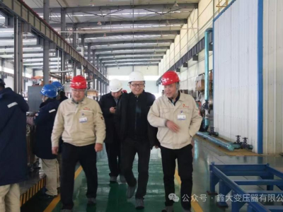 Г-н ма и делегация совместной компании чжунджи посетили нашу компанию.